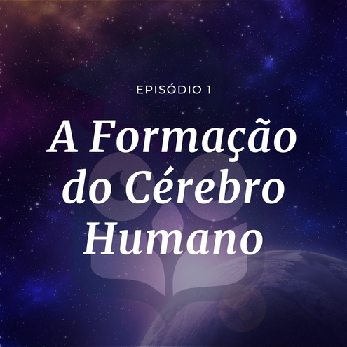 A Formação do Cérebro Humano