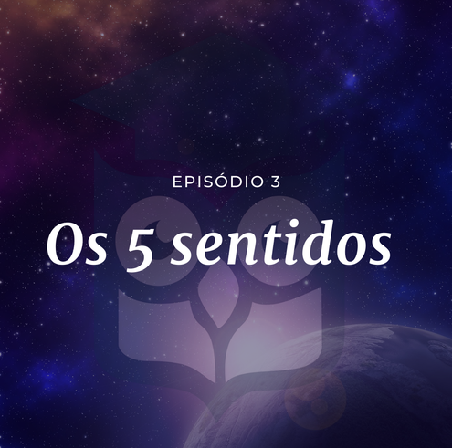 Os 5 sentidos humanos