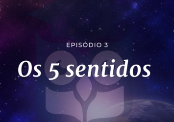 Os 5 sentidos humanos