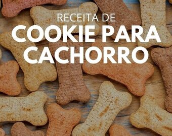 Livro Digital: Biscoitos Saudáveis Para Cachorro